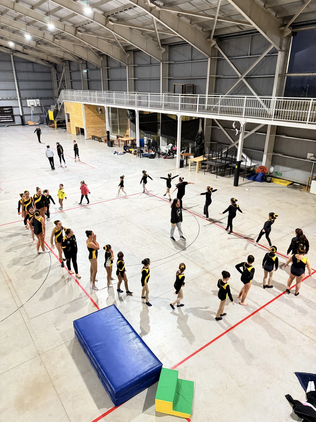 Grupo practicando gimnasia artística en el gimnasio